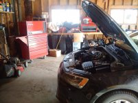 IMG_20160319_141357.jpg
