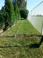 20150823_163642.jpg