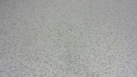 20160607_104727_resized_1.jpg