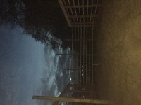 IMG_2949.jpg