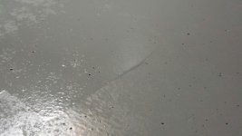 20160605_210618_resized.jpg