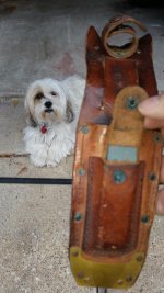 upright_lucy_sheath.jpg