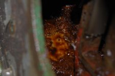 DSC_2463.jpg