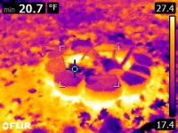 FLIR0820.jpg