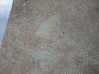 IMG_3371.jpg