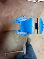 IMG_20160302_065038.jpg