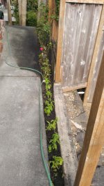 WP_20160602_013.jpg
