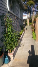 WP_20160731_007.jpg