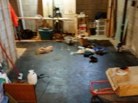 IMG_20160128_45610.jpg