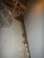 DSC00893.jpg