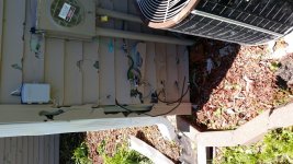 20160510_120004.jpg