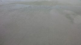 20160820_094228.jpg