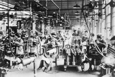 Ladywelderslincoldmtrs1918.jpg