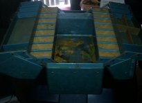 20160422_104857-2.jpg