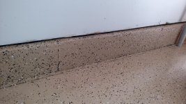 IMG_20160515_113545768.jpg