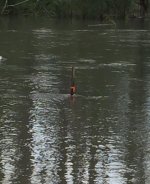 Flood2.jpg Flood2.jpg