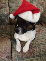 chloe879976.jpg