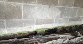UnderFront_porch.jpg