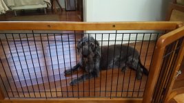 20160828_160418.jpg