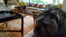 20160828_160349.jpg