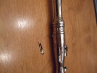 DSCF8195 (Large).JPG