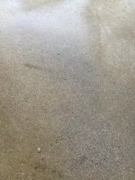 thumb_IMG_4240_1024.jpg