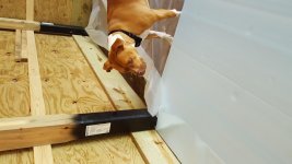 20160712_101913.jpg