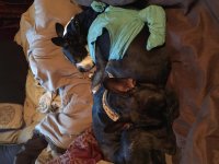 2016-09-02 06.21.17.jpg