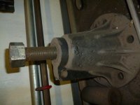 P1020107.jpg