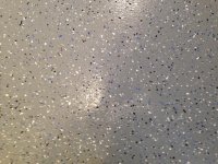 Speckle.jpg