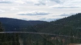 IMG_20161030_131410963.jpg