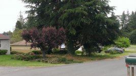 WP_20160524_008.jpg