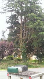 WP_20160525_003.jpg