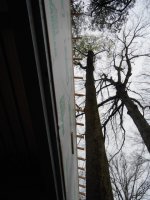 DSCN0876.jpg