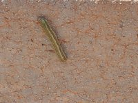 20160808-03.jpg