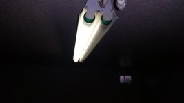 20160214_174053.jpg