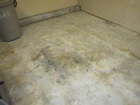 IMG_6998[1].jpg