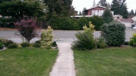 WP_20160924_009.jpg