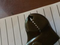IMG_2146.jpg