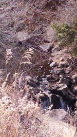 IMG_20161030_143007097.jpg