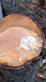 WP_20160927_002.jpg