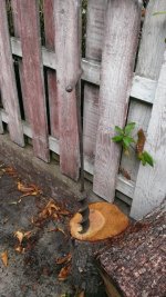 WP_20160927_001.jpg