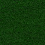Premium-KellyGreen.jpg