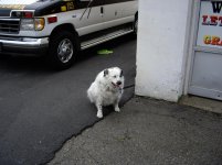 IMGP0753.jpg