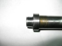 IMG_0186sm.JPG