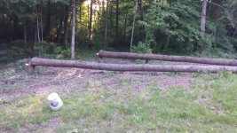 20150523_185359.jpg