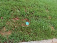 20160809-03.jpg