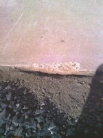 IMG_20160915_160634.jpg