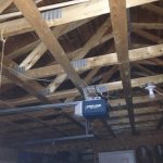 IMG_0343[1].jpg
