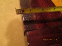 IMG_8248.jpg